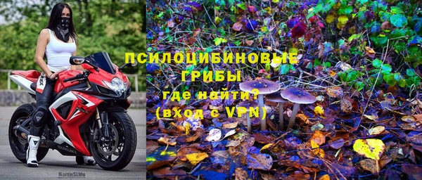эйфоретик Кулебаки